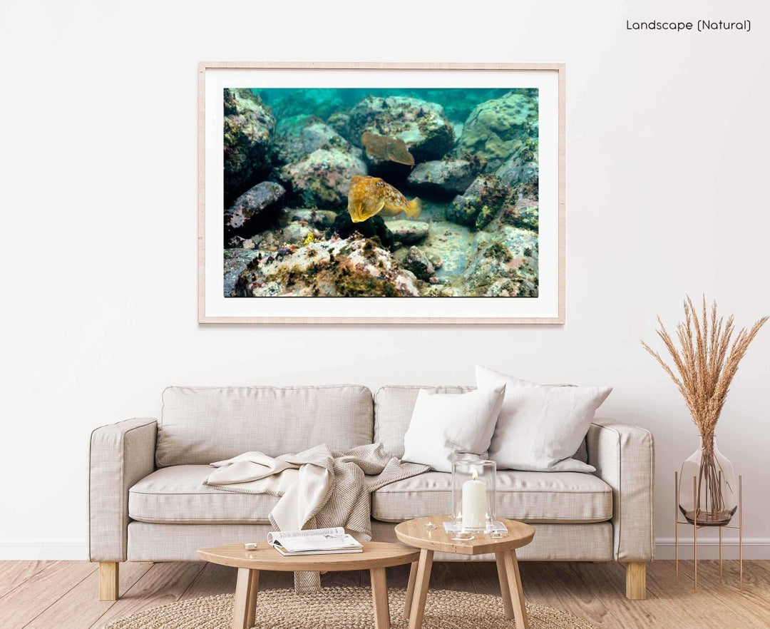 Framed Artwork with a natural frame in a living room