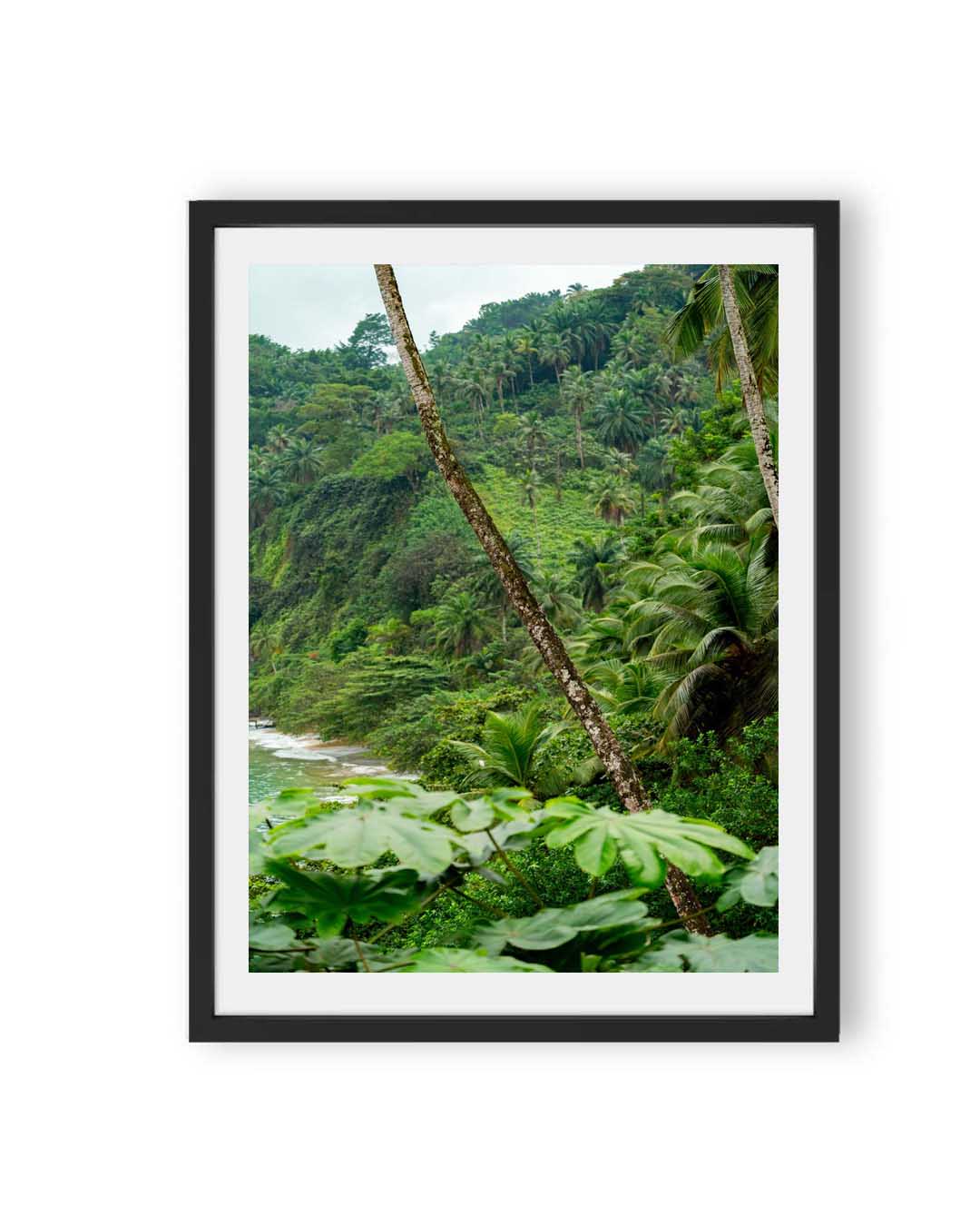 Palm Paradise (1 of 10)