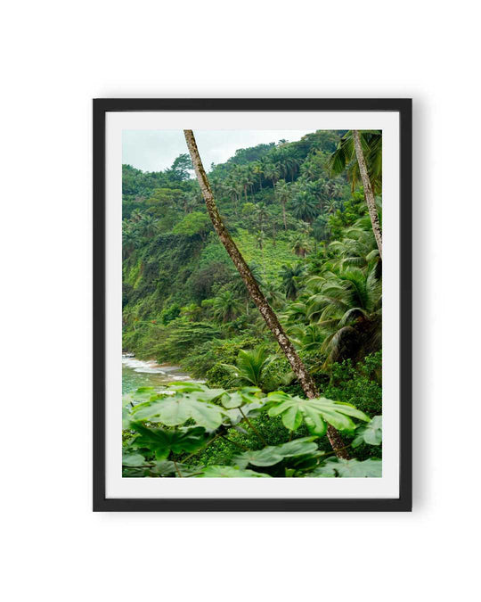 Palm Paradise (1 of 10)