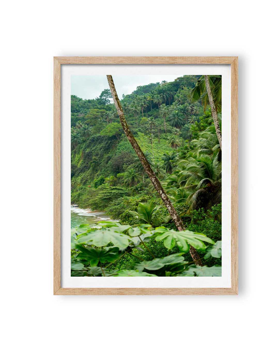 Palm Paradise (1 of 10)