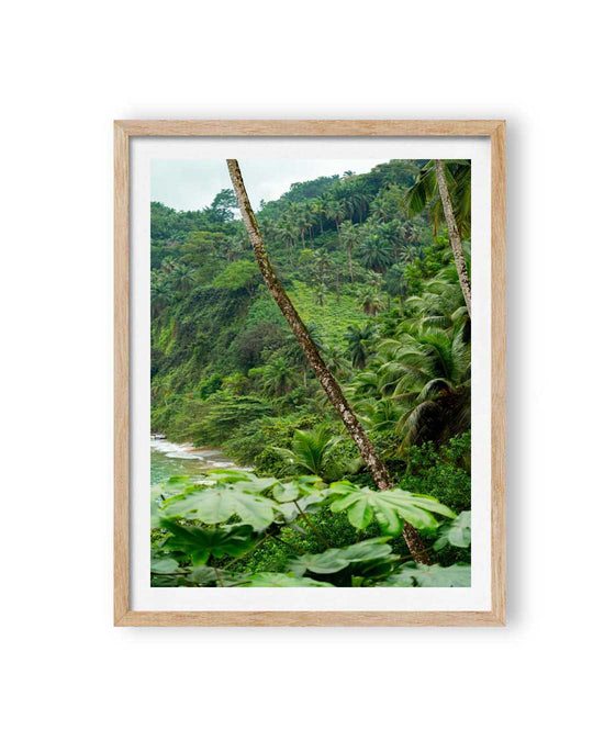 Palm Paradise (1 of 10)