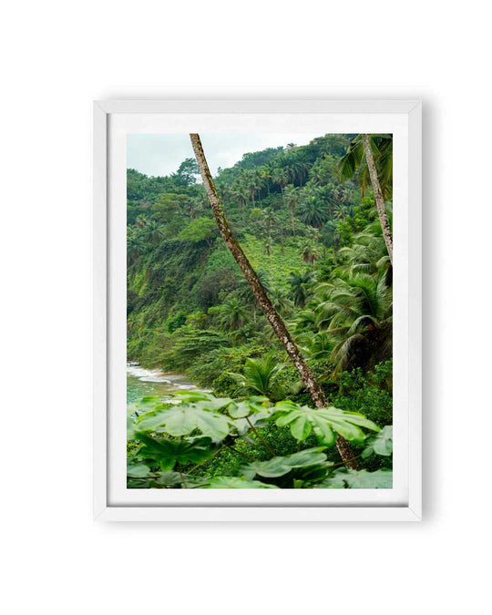 Palm Paradise (1 of 10)