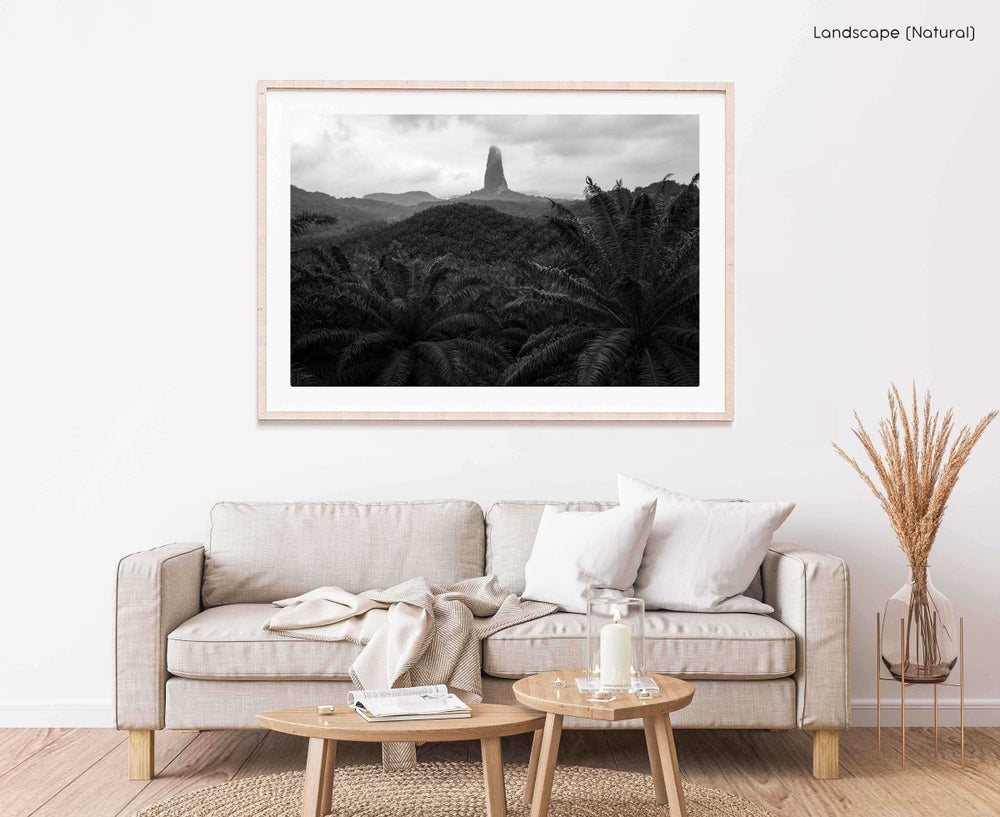 Framed Artwork with a natural frame in a living room