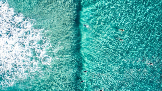 Aerial of Surfers in a turqoise ocean