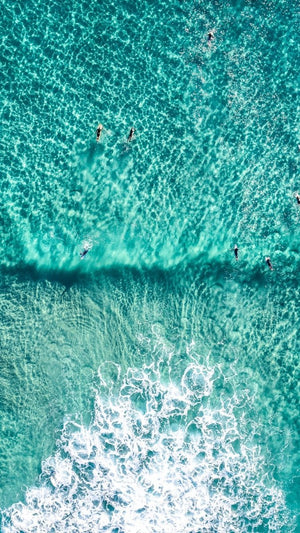 Aerial of Surfers in a turqoise ocean