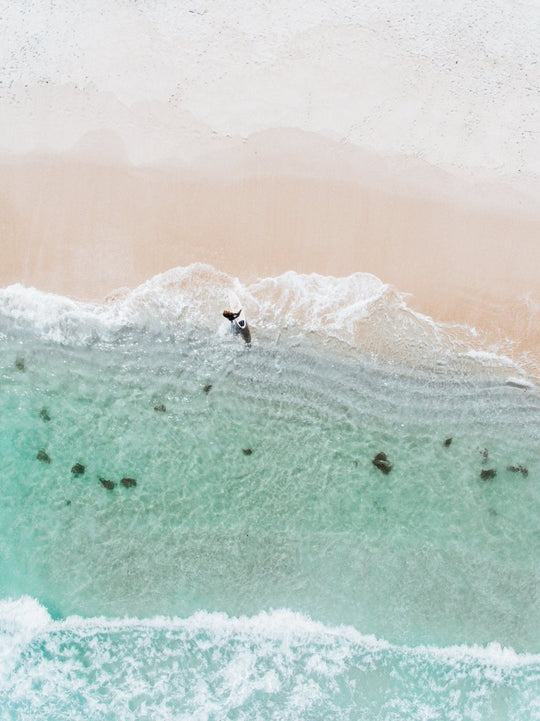 Aerial topdown of surfer walking out of water in Cape Town