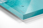 Aerial of surfer paddling in bright blue water in Cape Town in an acrylic/perspex frame
