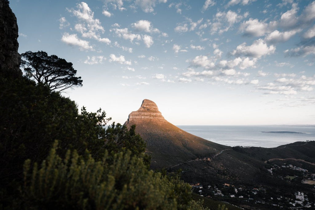 Lions Head glowing during sunrise in cape town