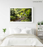 Water flowing down river in a green jungle in Kenya in a white fine art frame