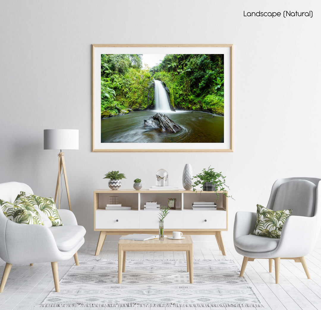 Green plants and a waterfall flowing in Mt Kenya in a natural fine art frame