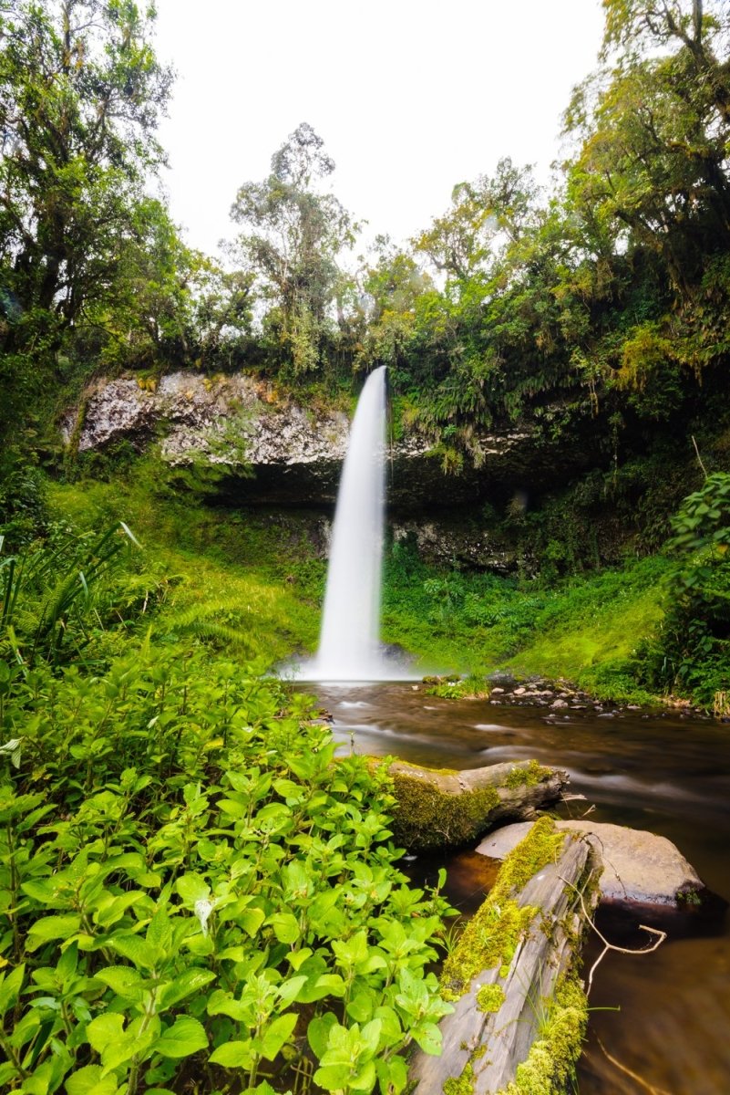 Big waterfall and green vegetation in Mount Kenya