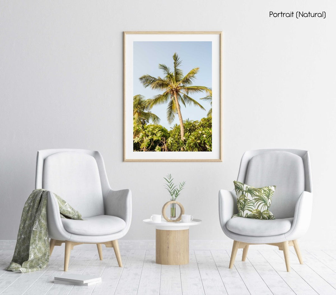 A palm tree in the sky in kenya in a natural fine art frame