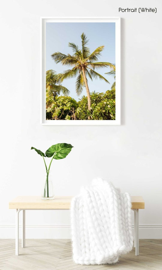 A palm tree in the sky in kenya in a white fine art frame