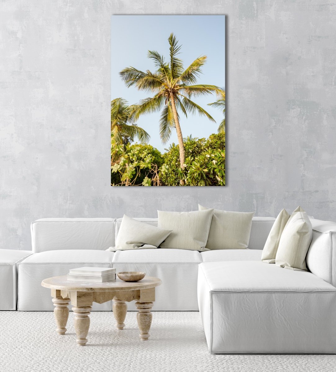 A palm tree in the sky in kenya in an acrylic/perspex frame