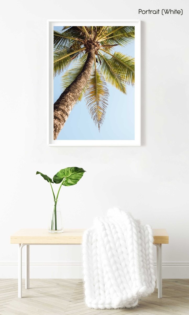 One palm tree on malindi beach in kenya in a white fine art frame