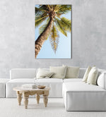 One palm tree on malindi beach in kenya in an acrylic/perspex frame