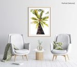 Green palm tree against white sky in Malindi Beach Kenya in a natural fine art frame