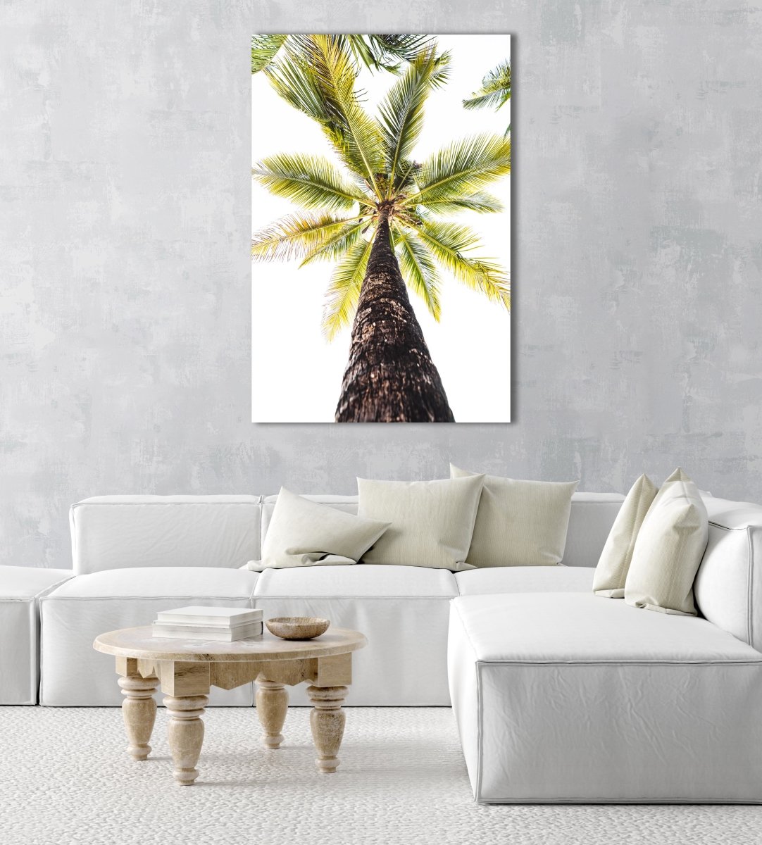 Green palm tree against white sky in Malindi Beach Kenya in an acrylic/perspex frame