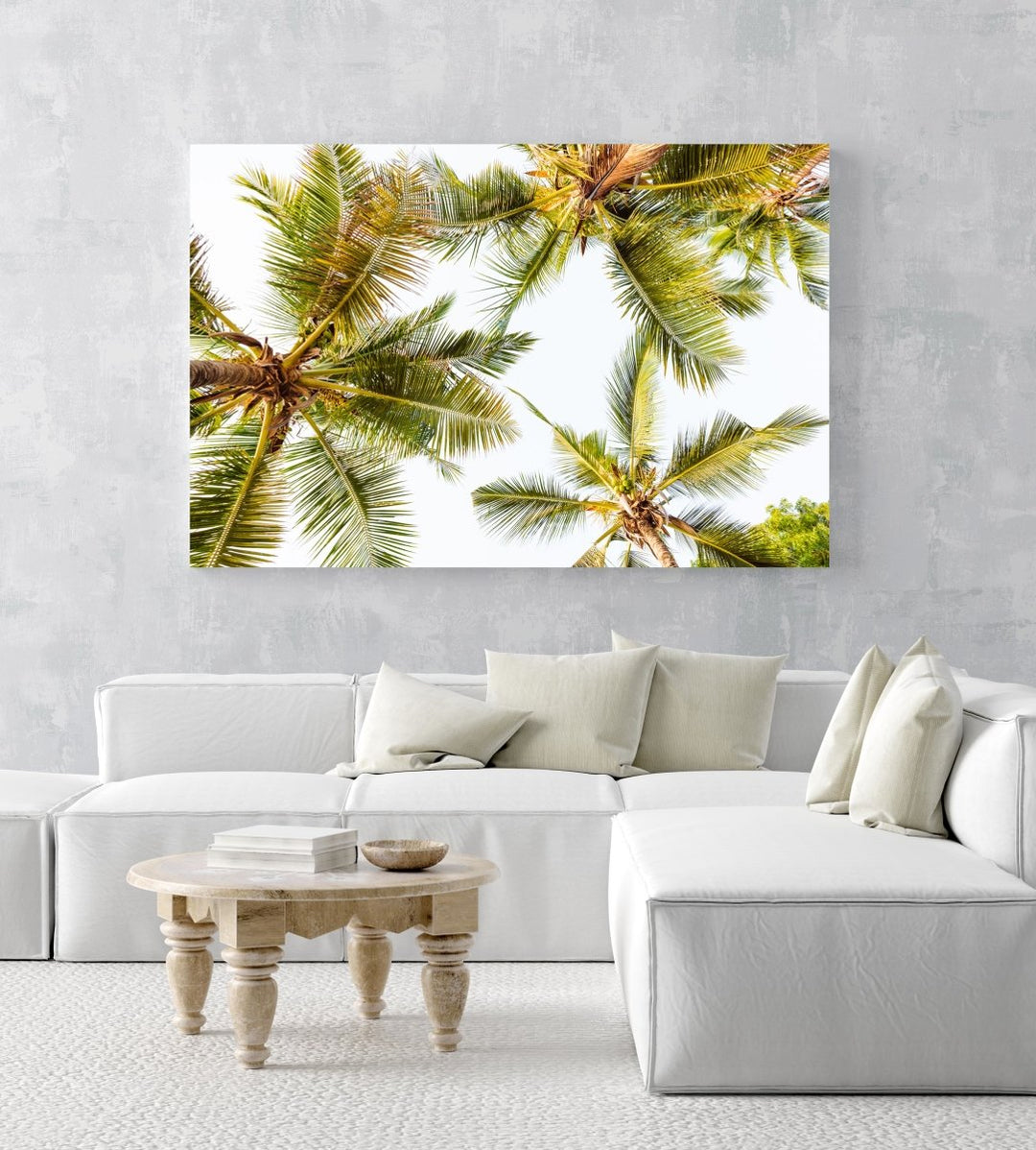 Green palm trees pattern and white sky in Kenya in a white fine art frame