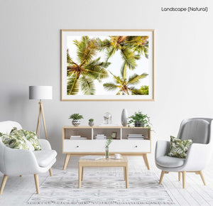 Green palm trees pattern and white sky in Kenya in a natural fine art frame