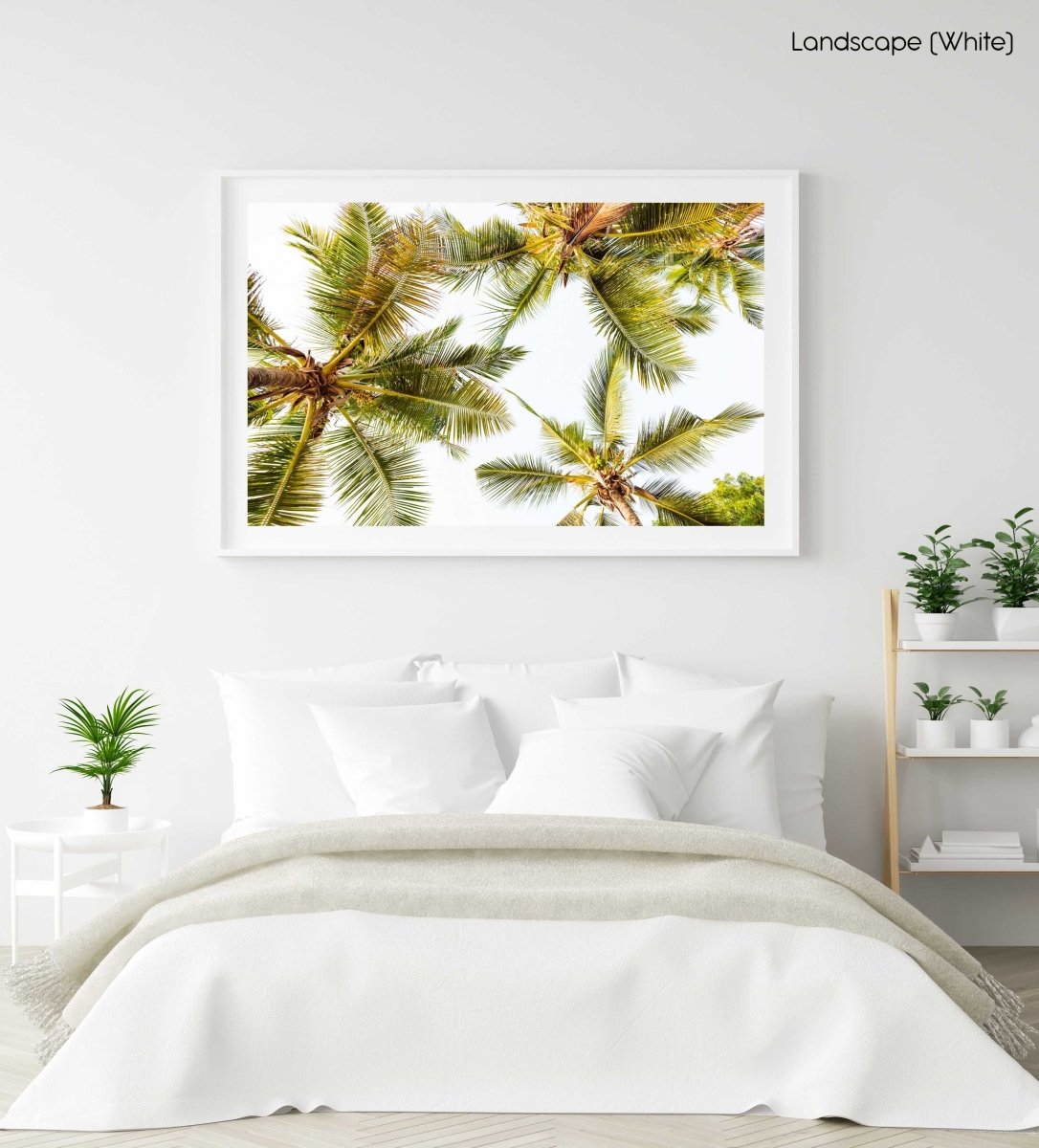 Green palm trees pattern and white sky in Kenya in a white fine art frame