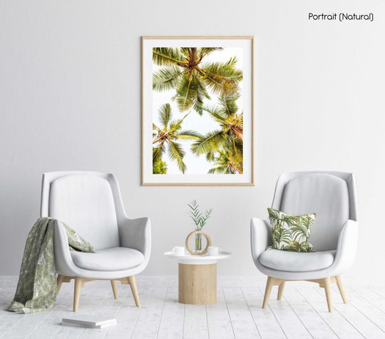 Green palm trees pattern and white sky in Kenya in a natural fine art frame