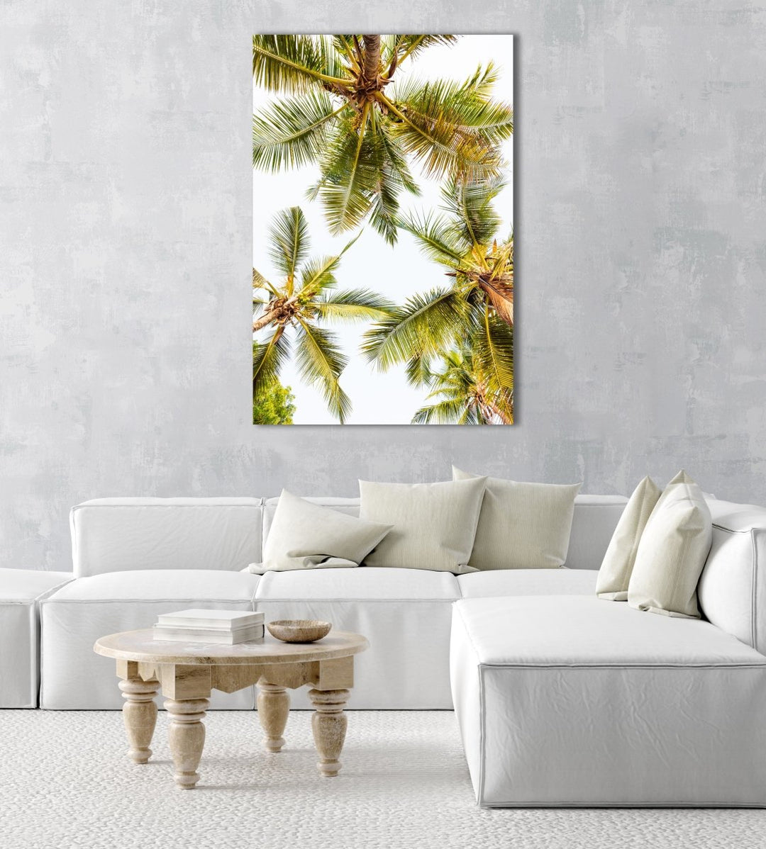 Green palm trees pattern and white sky in Kenya in a natural fine art frame