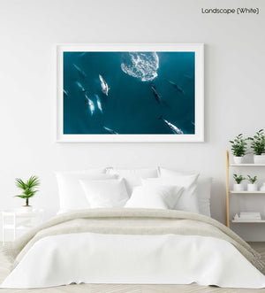 Aerial of pod of dolphins swimming in dark blue ocean in Cape Town in a white fine art frame