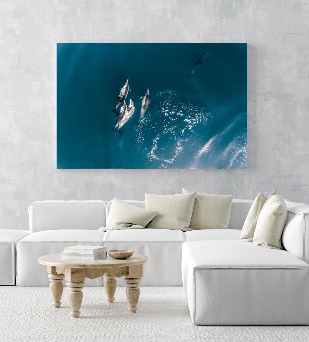 Aerial of dolphins swimming in dark blue sea in Cape Town in a white fine art frame