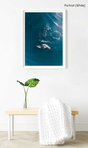 Aerial of dolphins swimming in dark blue sea in Cape Town in a white fine art frame
