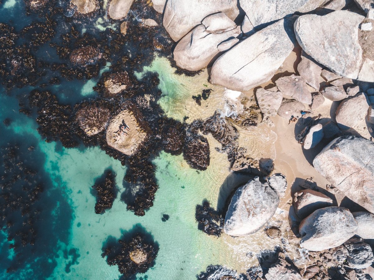 Boulders and people from above at green sea in Oudekraal Cape Town