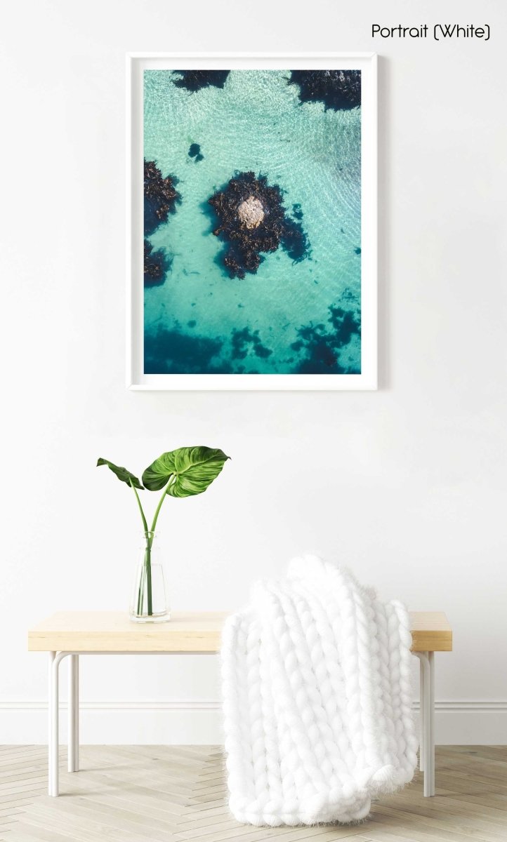 One rock with seaweed in middle of blue green water from above in a white fine art frame