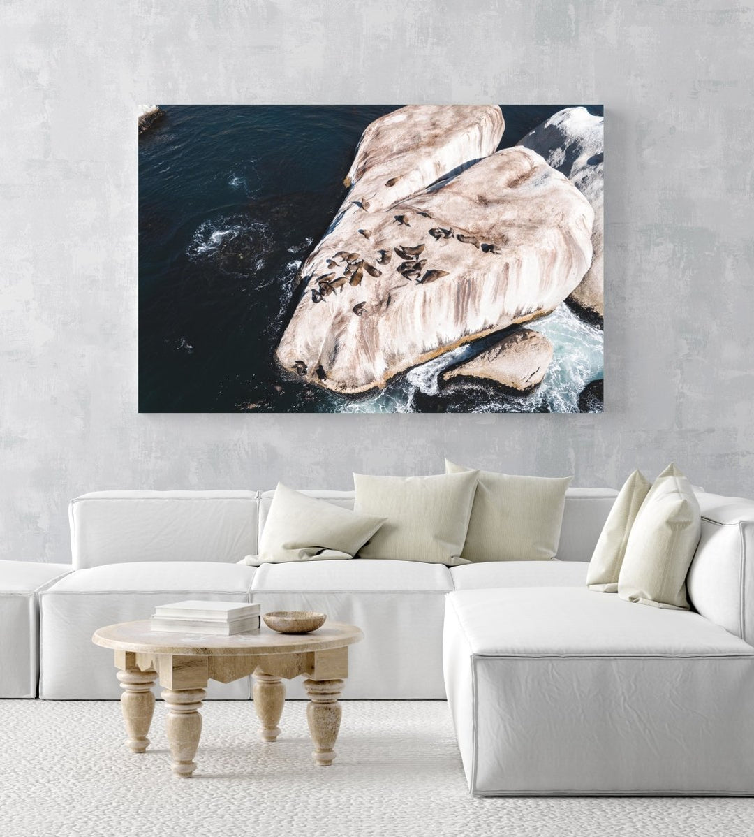 Aerial of seals lying on a big rock at Oudekraal Cape Town in an acrylic/perspex frame