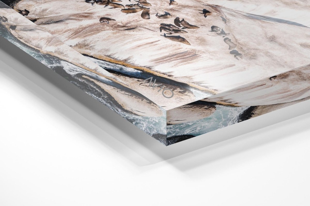Aerial of seals lying on a big rock at Oudekraal Cape Town in an acrylic/perspex frame
