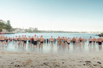 Lots of pink cap swimmers about to get in water at Shelly Beach Sydney
