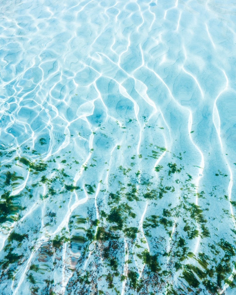 Blue ocean and seaweed with light shining on it