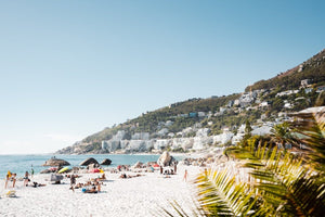 Palm tree and people sunbathing at Clifton fourth beach in Cape Town
