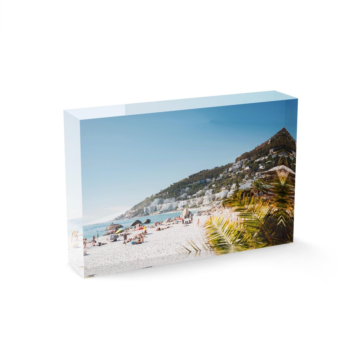 Palm tree and people sunbathing at Clifton fourth beach in Cape Town