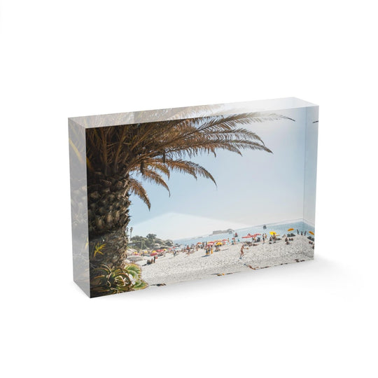 Palm tree and people sunbathing at Clifton fourth beach in Cape Town in summer