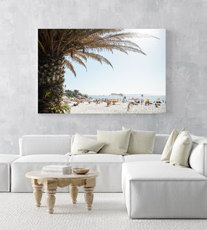 Palm tree and people sunbathing at Clifton fourth beach in Cape Town in summer in an acrylic/perspex frame