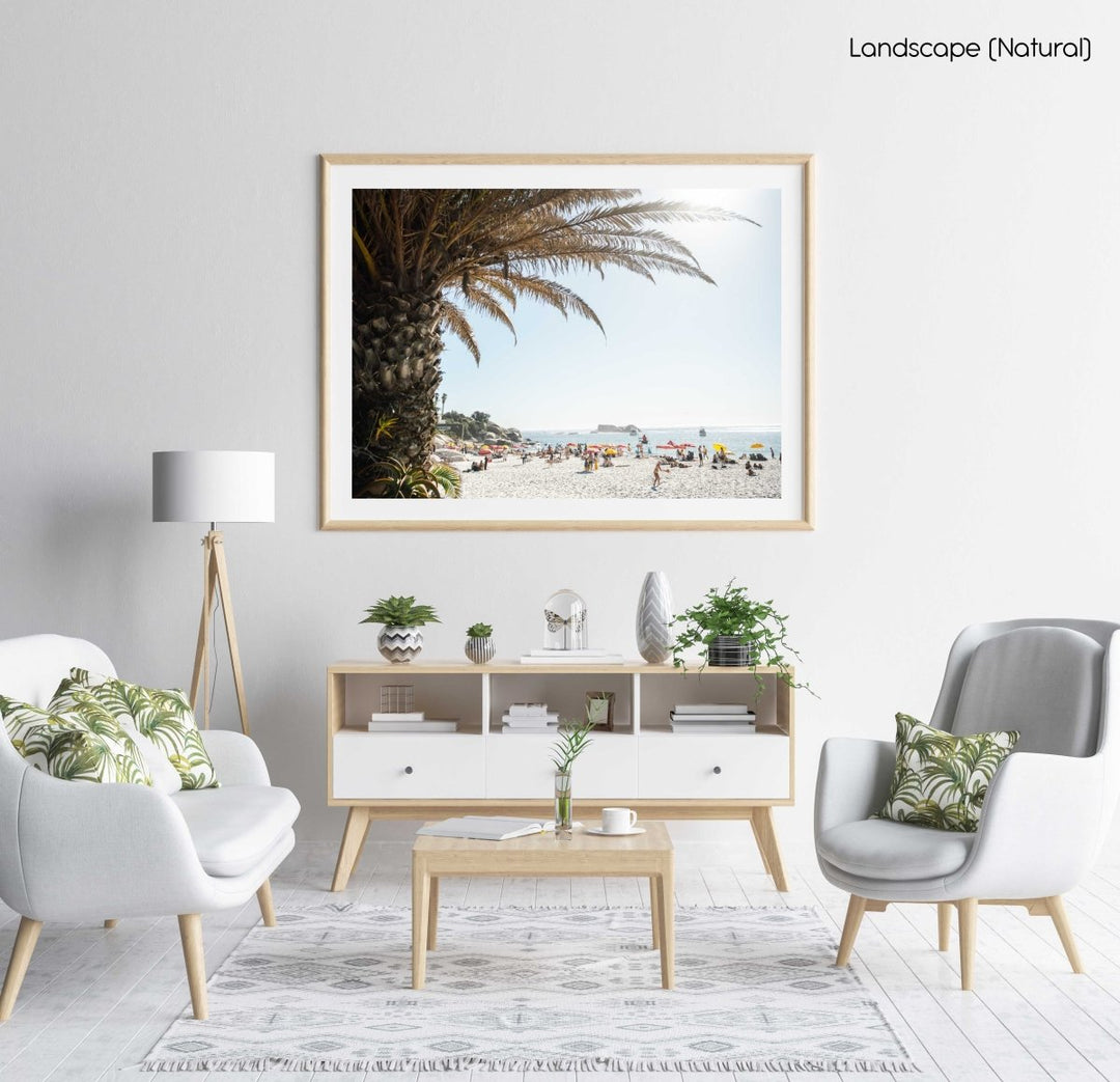 Palm tree and people sunbathing at Clifton fourth beach in Cape Town in summer in a natural fine art frame