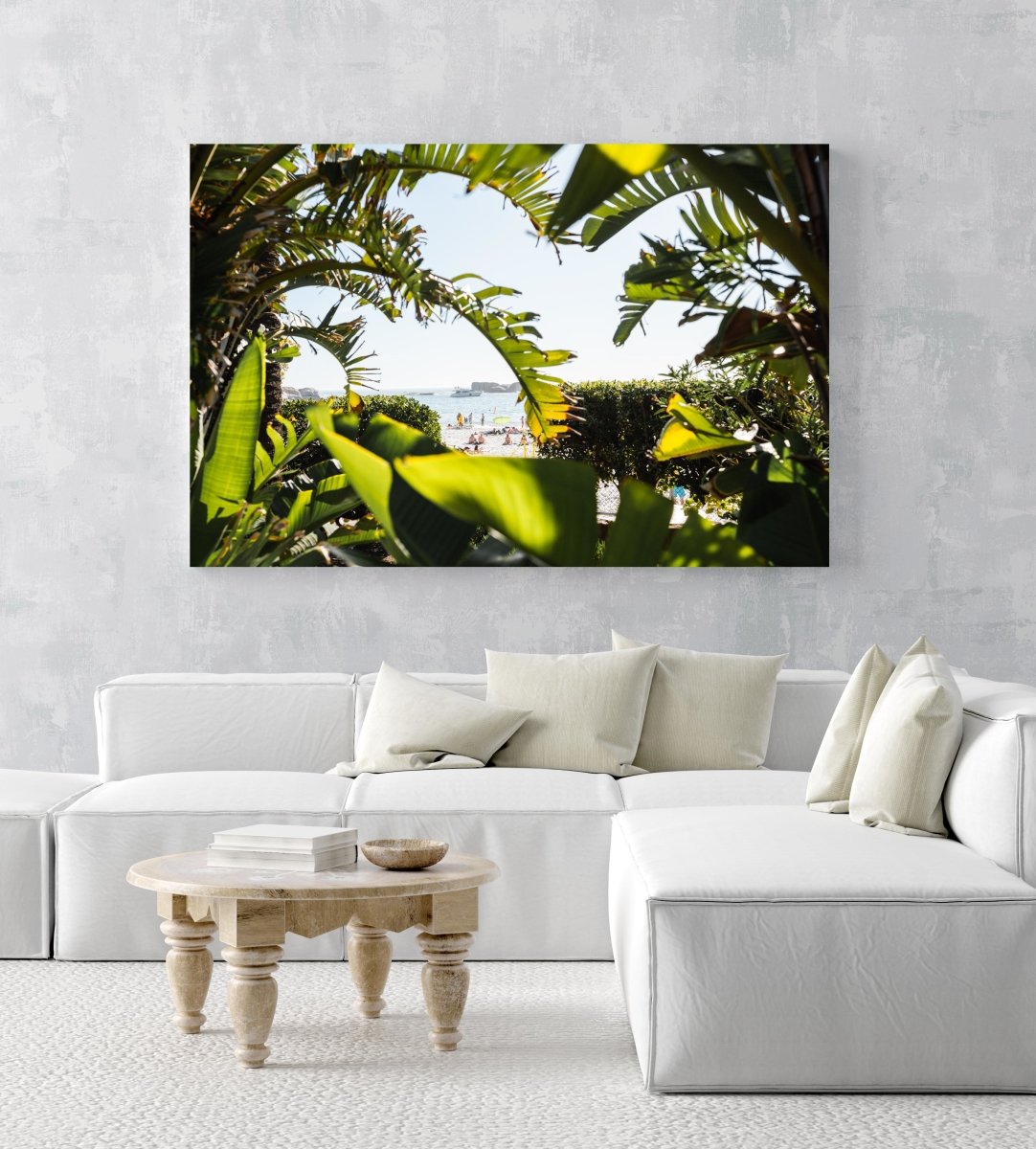 Lots of green plants and leaves opening to Clifton Beach in Cape Town in an acrylic/perspex frame