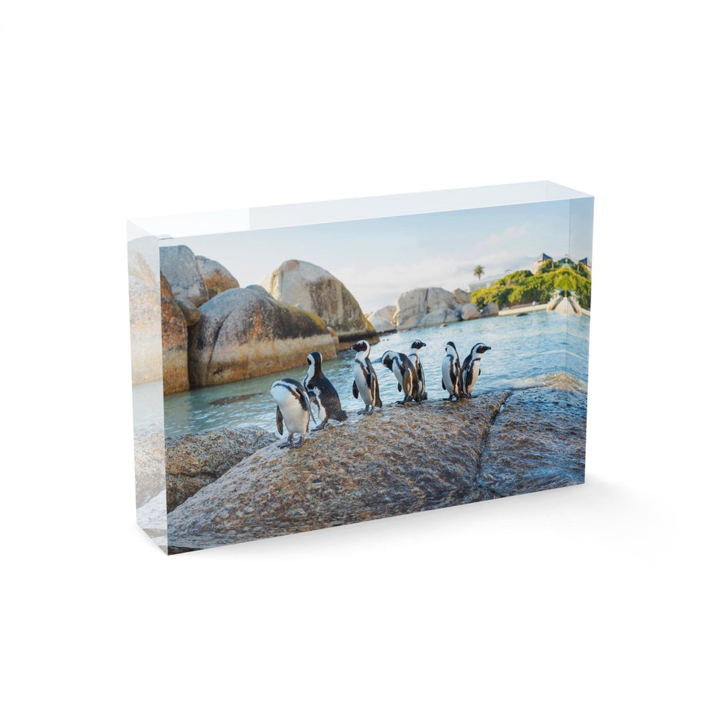 Seven penguins standing on a rock at boulders beach in Cape Town