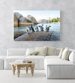 Seven penguins standing on a rock at boulders beach in Cape Town in an acrylic/perspex frame