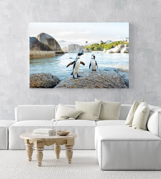 Two penguins standing on a rock at boulders beach in cape town in an acrylic/perspex frame