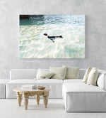 A penguin swimming in light water at boulders beach Cape Town in an acrylic/perspex frame
