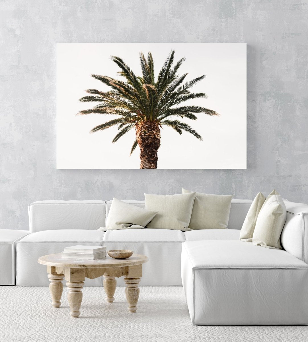 One palm tree with white background sky in an acrylic/perspex frame