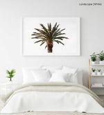 One palm tree with white background sky in a white fine art frame