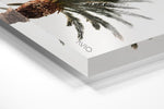 One palm tree with white background sky in an acrylic/perspex frame