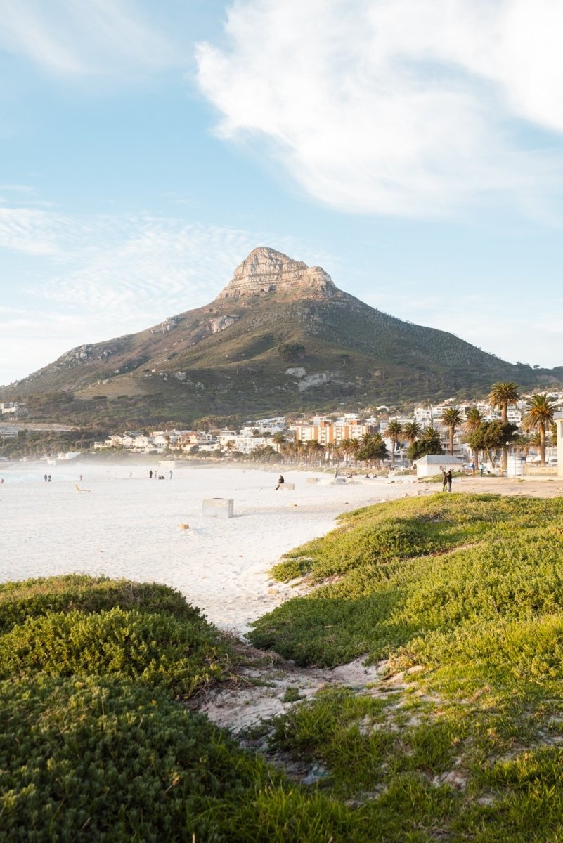 Lions Head seen from Camps Bay beach with green grass